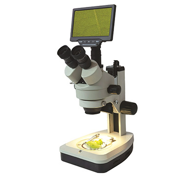 鳳凰光學(xué)體視顯微鏡XTL-165-PB7
